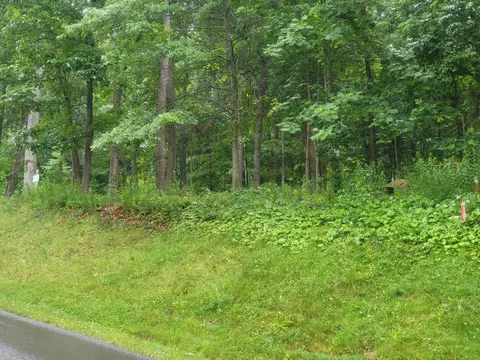lot50 Donald Ross Trl, Hot Springs, VA 24445