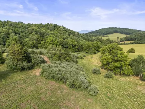 lot22 Koogler Trl, Raphine, VA 24472 photo 5