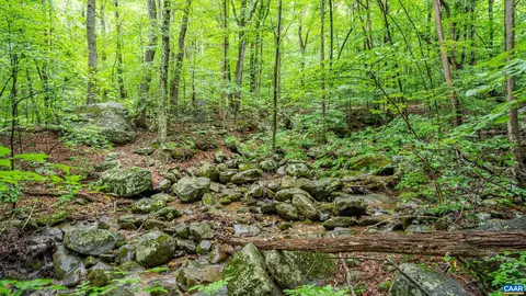 1509 Spruce Creek Ln, Nellysford, VA 22958