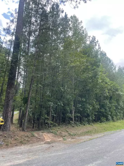 tbd Dixie Winds Dr, Bremo Bluff, VA 23022 photo 3
