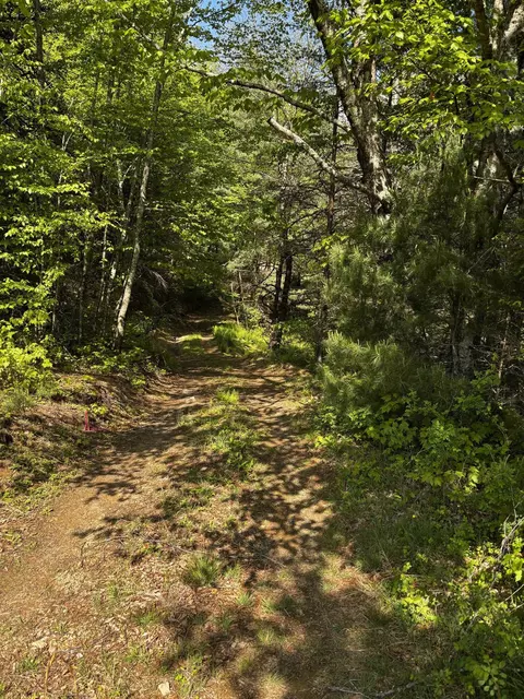 tbd Crabtree Falls Hwy, Vesuvius, VA 24483 photo 5