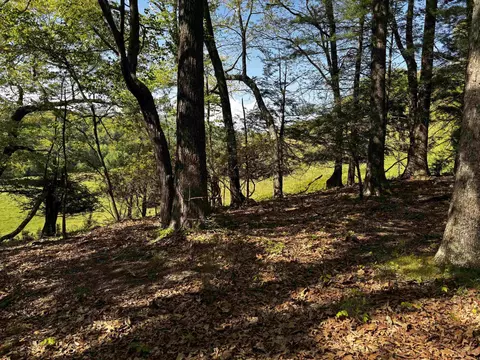 tbd Crabtree Falls Hwy, Vesuvius, VA 24483 photo 7