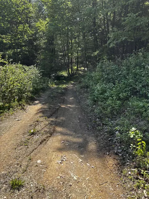 tbd Crabtree Falls Hwy, Vesuvius, VA 24483 photo 2