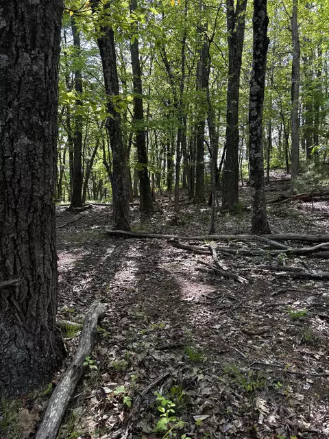 tbd Crabtree Falls Hwy, Vesuvius, VA 24483 photo 6