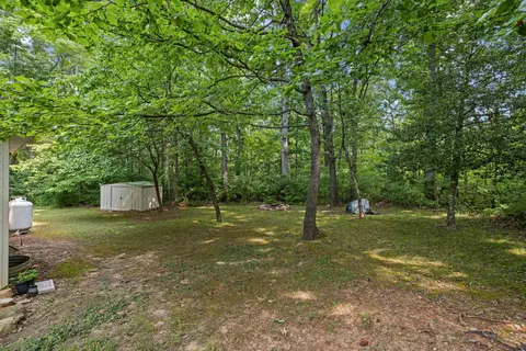 1077 Fleming Park Rd, Mount Jackson, VA 22842 photo 32