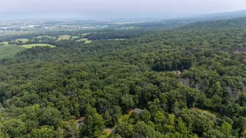 1077 Fleming Park Rd, Mount Jackson, VA 22842 photo 41