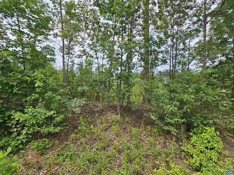 2 78 Ac Penlan Rd, Arvonia, VA 23004