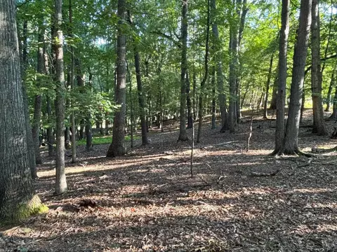 tbd Broadhead School Rd, Middlebrook, VA 24459 photo 3