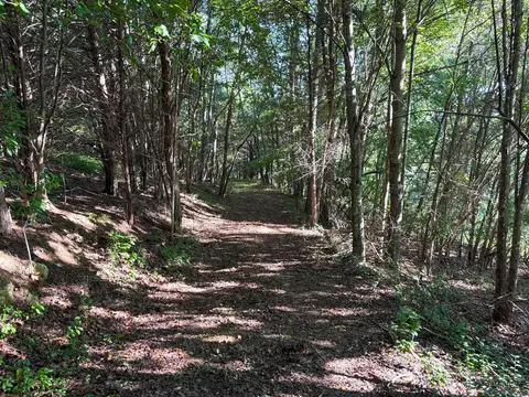 tbd Broadhead School Rd, Middlebrook, VA 24459 photo 6