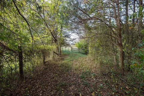 Off Dry Run Rd, Luray, VA 22835 photo 73