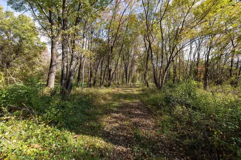 Off Dry Run Rd, Luray, VA 22835 photo 66