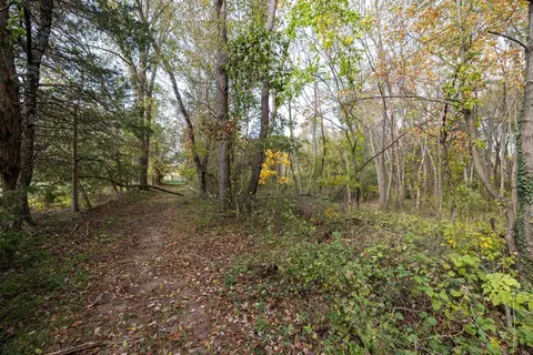 Off Dry Run Rd, Luray, VA 22835 photo 72
