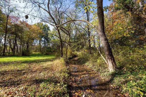 Off Dry Run Rd, Luray, VA 22835 photo 53