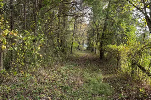 Off Dry Run Rd, Luray, VA 22835 photo 71