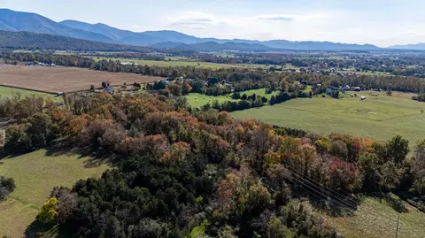 Off Dry Run Rd, Luray, VA 22835 photo 6