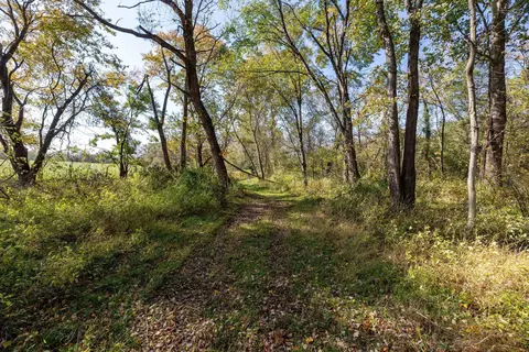Off Dry Run Rd, Luray, VA 22835 photo 65