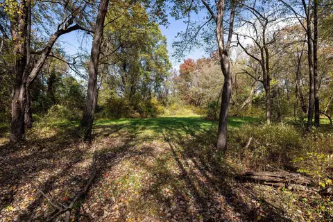 Off Dry Run Rd, Luray, VA 22835 photo 64