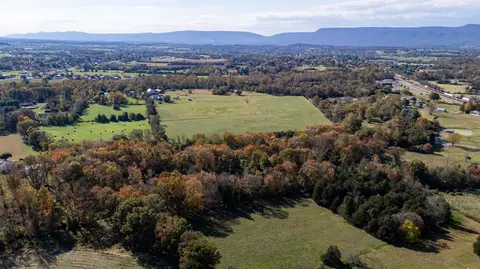 Off Dry Run Rd, Luray, VA 22835 photo 8