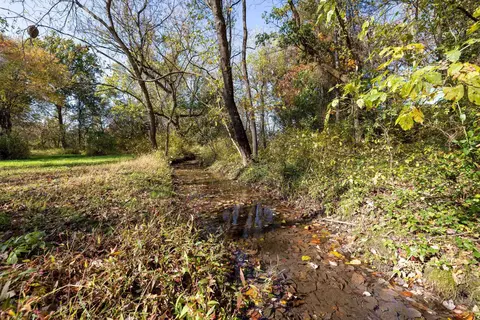 Off Dry Run Rd, Luray, VA 22835 photo 54