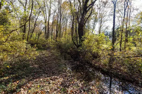 Off Dry Run Rd, Luray, VA 22835 photo 56