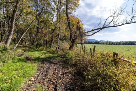Off Dry Run Rd, Luray, VA 22835 photo 68