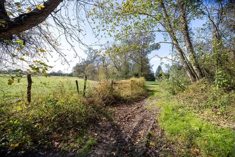 Off Dry Run Rd, Luray, VA 22835 photo 36