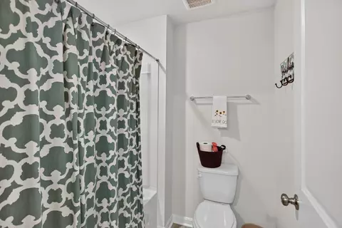 Bath - 115 Waterfront Dr, Raphine, VA 24472 photo 4 of 4