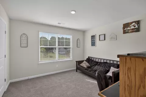 Other - 115 Waterfront Dr, Raphine, VA 24472 photo 7 of 13