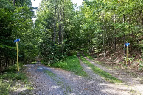 0 Roundhead Mountain Rd, Stanley, VA 22851 photo 42