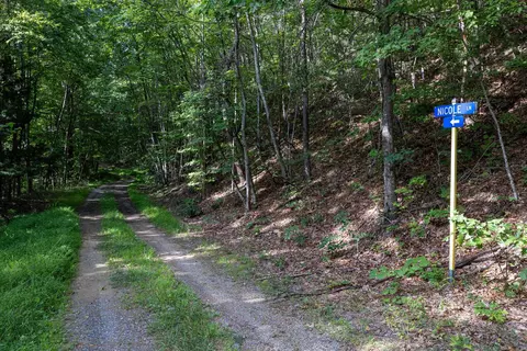 0 Roundhead Mountain Rd, Stanley, VA 22851 photo 43