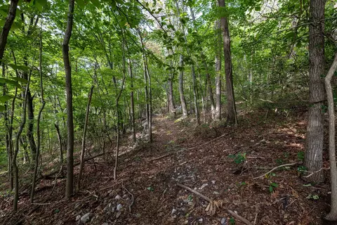 0 Roundhead Mountain Rd, Stanley, VA 22851 photo 28