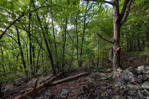 0 Roundhead Mountain Rd, Stanley, VA 22851 photo 30