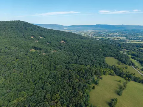 0 Roundhead Mountain Rd, Stanley, VA 22851 photo 22