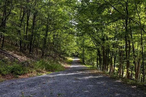 0 Roundhead Mountain Rd, Stanley, VA 22851 photo 34