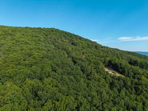 0 Roundhead Mountain Rd, Stanley, VA 22851 photo 3