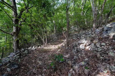 0 Roundhead Mountain Rd, Stanley, VA 22851 photo 29