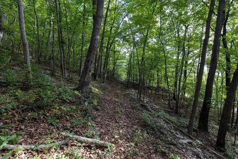 0 Roundhead Mountain Rd, Stanley, VA 22851 photo 31