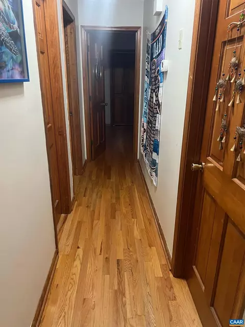 16 Hatchechubee Rd, Palmyra, VA 22963 photo 6