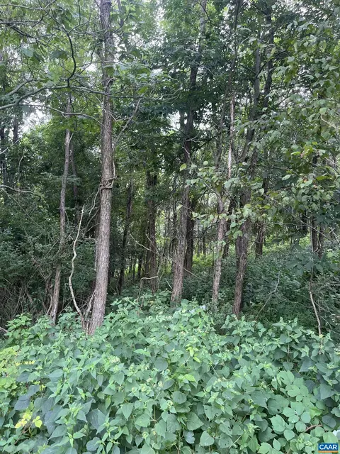 tbd Raven Way, Free Union, VA 22940
