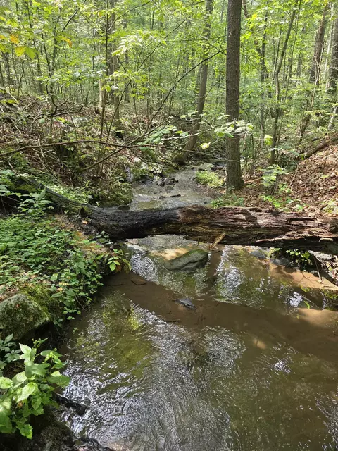 574 Mountain Slope Ln, Fort Valley, VA 22652