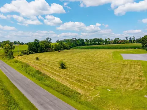 0 Tisinger Rd, Mount Jackson, VA 22842 photo 5