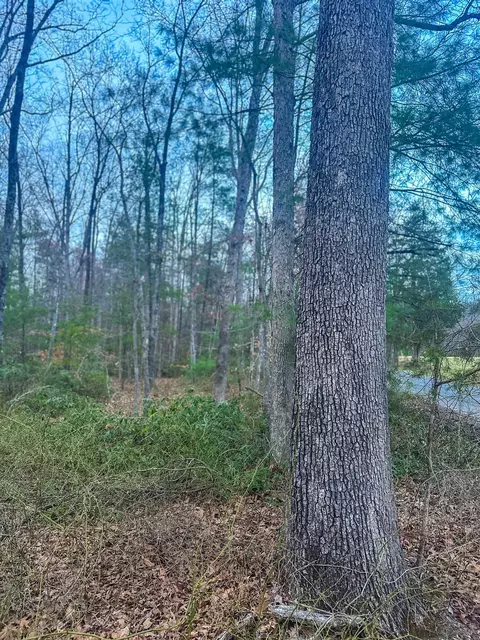 tbd E Branch Loop, Roseland, VA 22967 photo 16