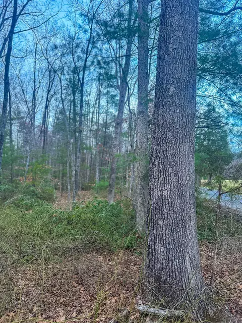 tbd E Branch Loop, Roseland, VA 22967 photo 16