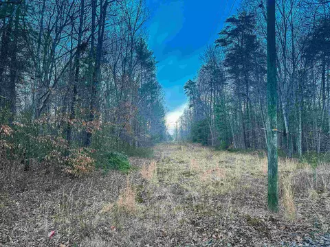 tbd E Branch Loop, Roseland, VA 22967 photo 17