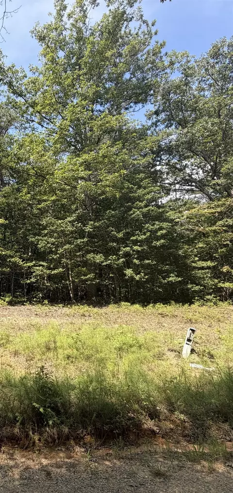 tbd Rilees Farm Rd, Gloucester, VA 23061 photo 4