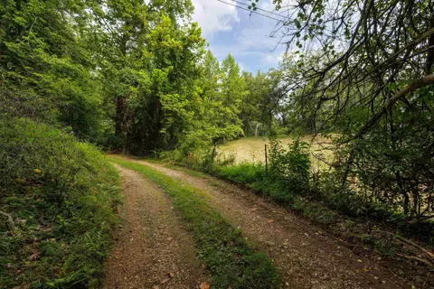 tbd Pounding Branch Rd, Afton, VA 22920 photo 3