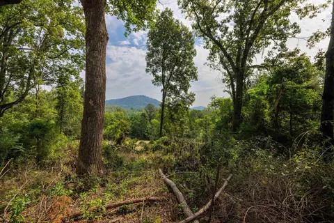 tbd Pounding Branch Rd, Afton, VA 22920