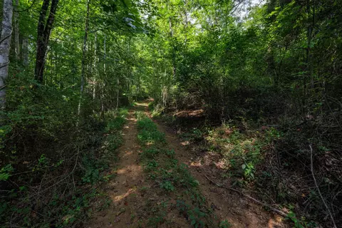tbd Pounding Branch Rd, Afton, VA 22920 photo 4