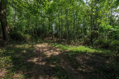 tbd Pounding Branch Rd, Afton, VA 22920 photo 6