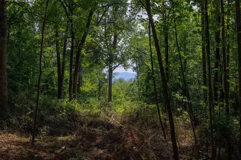 tbd Pounding Branch Rd, Afton, VA 22920 photo 5